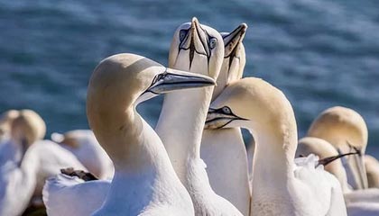 华体会体育体验：让热血在每一次出发中绽放